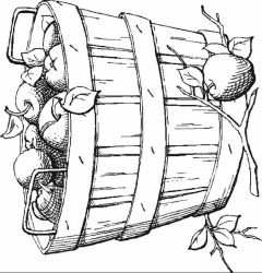 plansa de colorat toamna #10