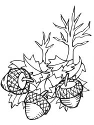 plansa de colorat toamna #8