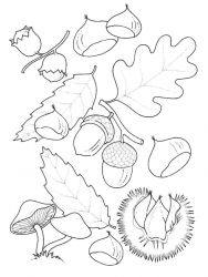 plansa de colorat toamna #11