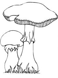 plansa de colorat toamna #17