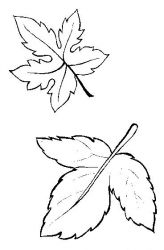 plansa de colorat toamna #9