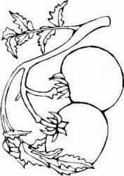 plansa de colorat toamna #16