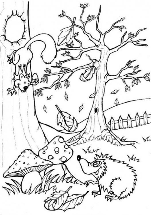 rainforest mandala art coloring pages to print - photo #44